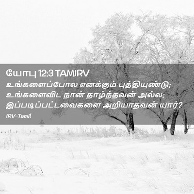 Picture 02 - யோபு 12:3 TAMIRV - உங்களைப்போல - Bible Verse Picture