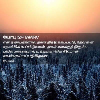Picture 02 - யோபு 12:4 TAMIRV - என் நண்பர்களால் - Bible Verse Picture