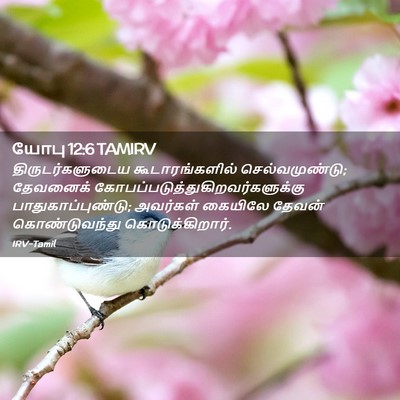 Picture 02 - யோபு 12:6 TAMIRV - திருடர்களுடைய - Bible Verse Picture