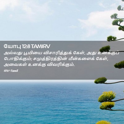 Picture 02 - யோபு 12:8 TAMIRV - அல்லது பூமியை - Bible Verse Picture