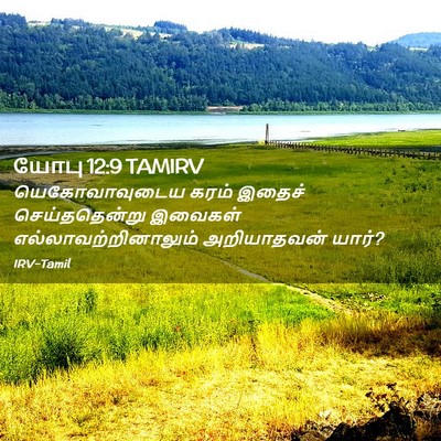 Picture 02 - யோபு 12:9 TAMIRV - யெகோவாவுடைய கரம் - Bible Verse Picture