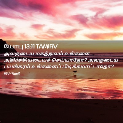 Picture 02 - யோபு 13:11 TAMIRV - அவருடைய மகத்துவம் - Bible Verse Picture