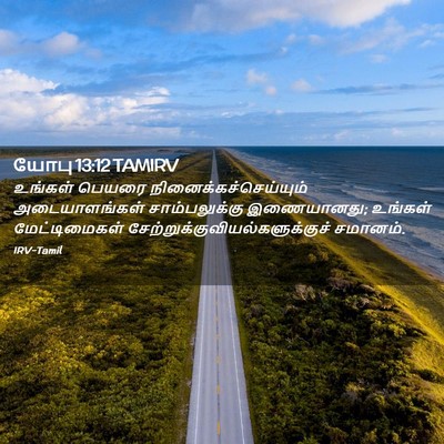Picture 02 - யோபு 13:12 TAMIRV - உங்கள் பெயரை - Bible Verse Picture