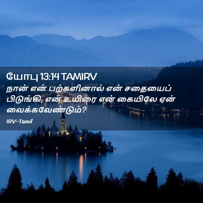 Picture 02 - யோபு 13:14 TAMIRV - நான் என் - Bible Verse Picture