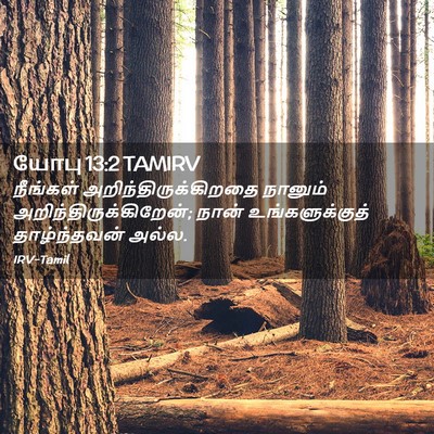 Picture 02 - யோபு 13:2 TAMIRV - நீங்கள் - Bible Verse Picture