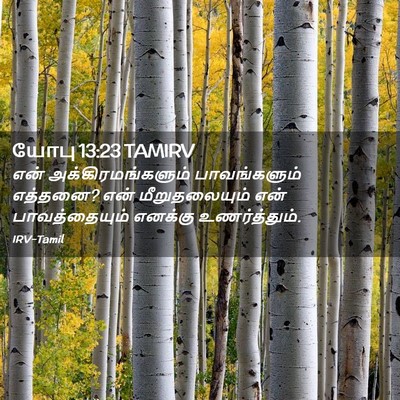 Picture 02 - யோபு 13:23 TAMIRV - என் - Bible Verse Picture