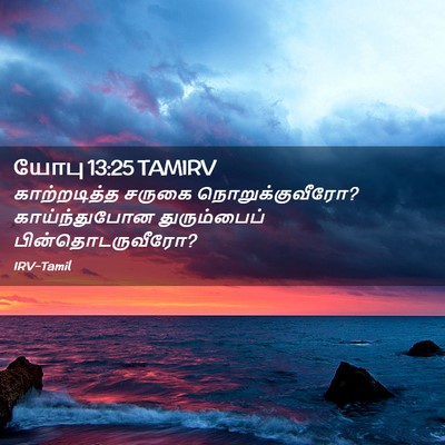 Picture 02 - யோபு 13:25 TAMIRV - காற்றடித்த சருகை - Bible Verse Picture