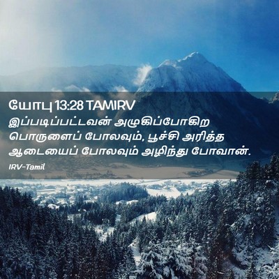 Picture 02 - யோபு 13:28 TAMIRV - இப்படிப்பட்டவன் - Bible Verse Picture
