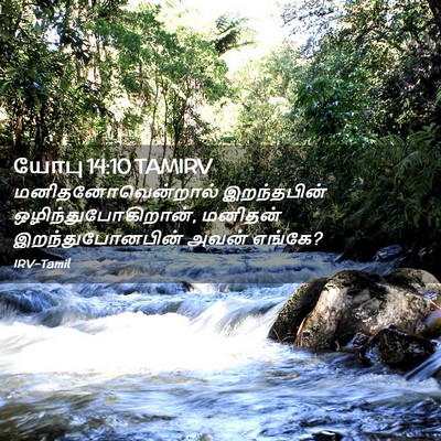 Picture 02 - யோபு 14:10 TAMIRV - மனிதனோவென்றால் - Bible Verse Picture