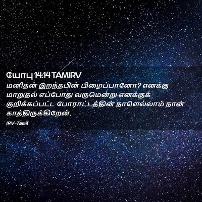 Picture 02 - யோபு 14:14 TAMIRV - மனிதன் இறந்தபின் - Bible Verse Picture