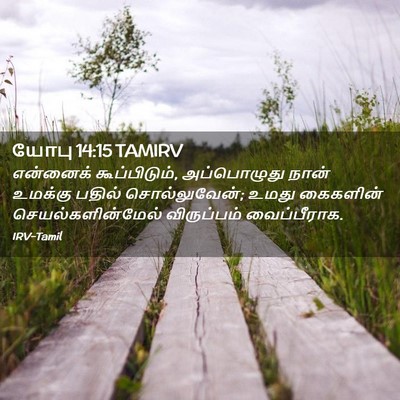 Picture 02 - யோபு 14:15 TAMIRV - என்னைக் - Bible Verse Picture