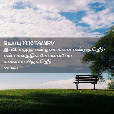 Picture 02 - யோபு 14:16 TAMIRV - இப்பொழுது என் - Bible Verse Picture