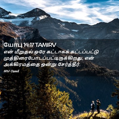 Picture 02 - யோபு 14:17 TAMIRV - என் மீறுதல் ஒரே - Bible Verse Picture