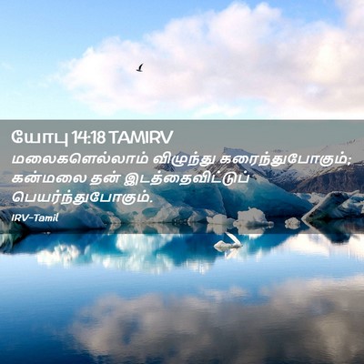 Picture 02 - யோபு 14:18 TAMIRV - மலைகளெல்லாம் - Bible Verse Picture