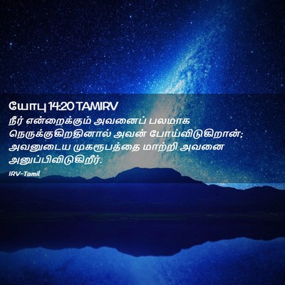 Picture 02 - யோபு 14:20 TAMIRV - நீர் என்றைக்கும் - Bible Verse Picture