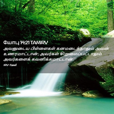 Picture 02 - யோபு 14:21 TAMIRV - அவனுடைய பிள்ளைகள் - Bible Verse Picture