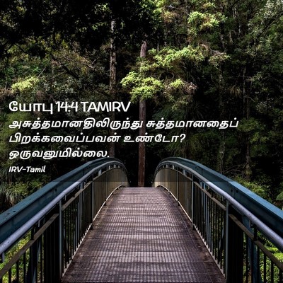 Picture 02 - யோபு 14:4 TAMIRV -  - Bible Verse Picture