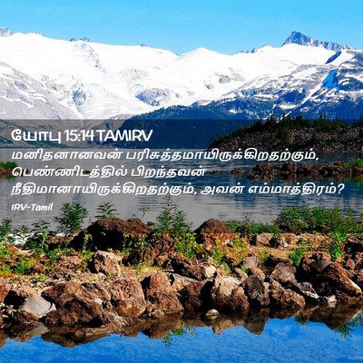 Picture 02 - யோபு 15:14 TAMIRV - மனிதனானவன் - Bible Verse Picture
