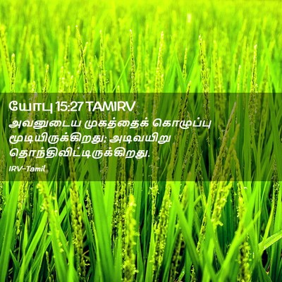 Picture 02 - யோபு 15:27 TAMIRV - அவனுடைய முகத்தைக் - Bible Verse Picture
