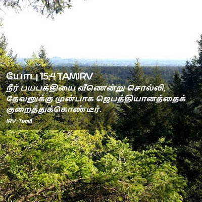 Picture 02 - யோபு 15:4 TAMIRV - நீர் பயபக்தியை - Bible Verse Picture