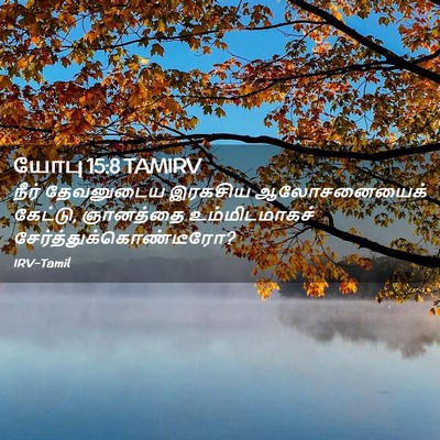 Picture 02 - யோபு 15:8 TAMIRV - நீர் தேவனுடைய - Bible Verse Picture