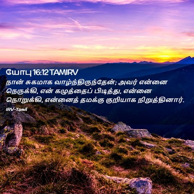 Picture 02 - யோபு 16:12 TAMIRV - நான் சுகமாக - Bible Verse Picture
