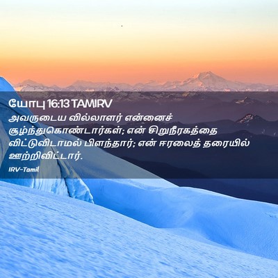 Picture 02 - யோபு 16:13 TAMIRV - அவருடைய வில்லாளர் - Bible Verse Picture