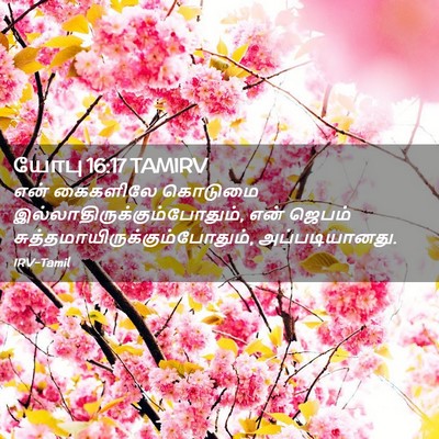 Picture 02 - யோபு 16:17 TAMIRV - என் கைகளிலே - Bible Verse Picture