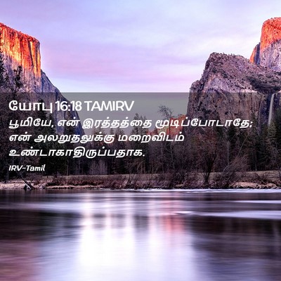Picture 02 - யோபு 16:18 TAMIRV - பூமியே, என் - Bible Verse Picture