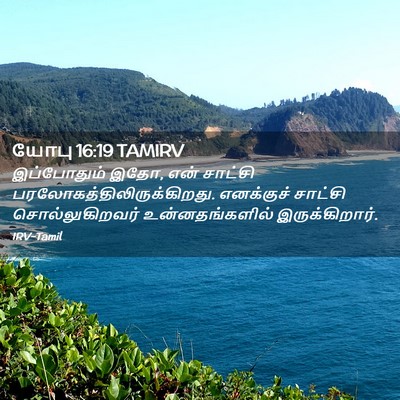 Picture 02 - யோபு 16:19 TAMIRV - இப்போதும் இதோ, என் - Bible Verse Picture