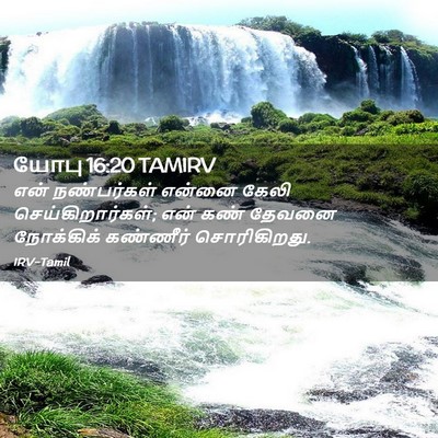 Picture 02 - யோபு 16:20 TAMIRV - என் நண்பர்கள் - Bible Verse Picture