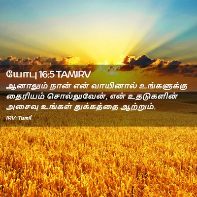 Picture 02 - யோபு 16:5 TAMIRV - ஆனாலும் நான் என் - Bible Verse Picture