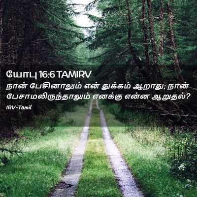 Picture 02 - யோபு 16:6 TAMIRV - நான் பேசினாலும் - Bible Verse Picture