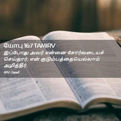 Picture 02 - யோபு 16:7 TAMIRV - இப்போது அவர் - Bible Verse Picture