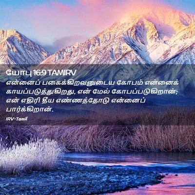 Picture 02 - யோபு 16:9 TAMIRV - என்னைப் - Bible Verse Picture