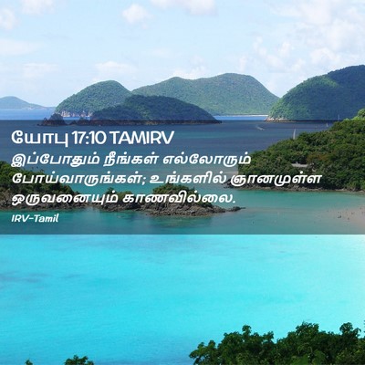 Picture 02 - யோபு 17:10 TAMIRV - இப்போதும் நீங்கள் - Bible Verse Picture