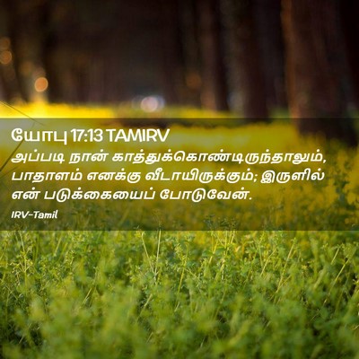 Picture 02 - யோபு 17:13 TAMIRV - அப்படி நான் - Bible Verse Picture
