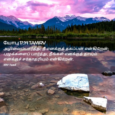Picture 02 - யோபு 17:14 TAMIRV - அழிவைப்பார்த்து, - Bible Verse Picture