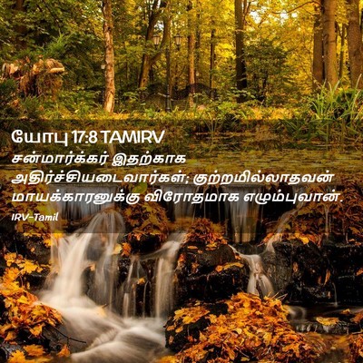 Picture 02 - யோபு 17:8 TAMIRV - சன்மார்க்கர் - Bible Verse Picture