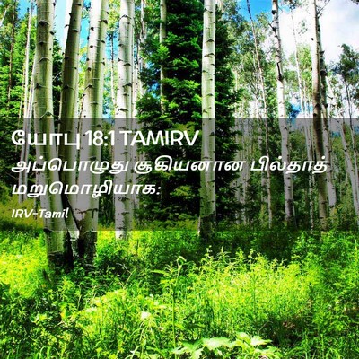 Picture 02 - யோபு 18:1 TAMIRV - அப்பொழுது - Bible Verse Picture