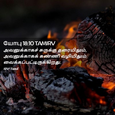 Picture 02 - யோபு 18:10 TAMIRV - அவனுக்காகச் - Bible Verse Picture
