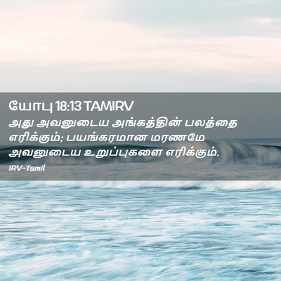 Picture 02 - யோபு 18:13 TAMIRV - அது அவனுடைய - Bible Verse Picture