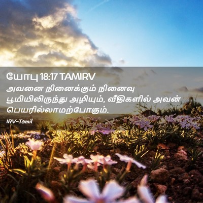 Picture 02 - யோபு 18:17 TAMIRV - அவனை நினைக்கும் - Bible Verse Picture
