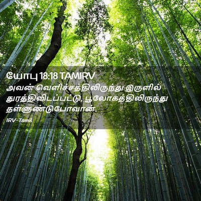 Picture 02 - யோபு 18:18 TAMIRV - அவன் - Bible Verse Picture