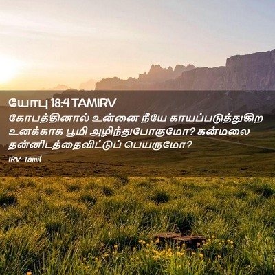 Picture 02 - யோபு 18:4 TAMIRV - கோபத்தினால் உன்னை - Bible Verse Picture