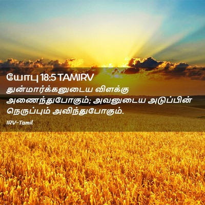 Picture 02 - யோபு 18:5 TAMIRV - துன்மார்க்கனுடைய - Bible Verse Picture