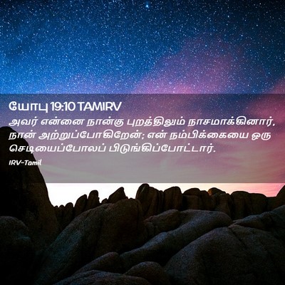 Picture 02 - யோபு 19:10 TAMIRV - அவர் என்னை நான்கு - Bible Verse Picture