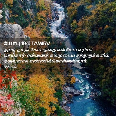 Picture 02 - யோபு 19:11 TAMIRV - அவர் தமது கோபத்தை - Bible Verse Picture
