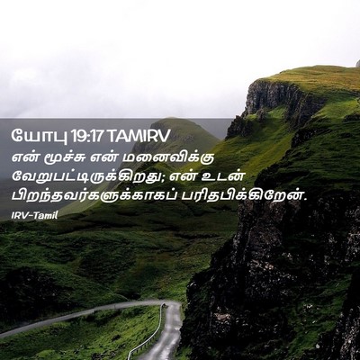 Picture 02 - யோபு 19:17 TAMIRV - என் மூச்சு என் - Bible Verse Picture