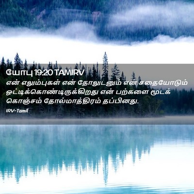 Picture 02 - யோபு 19:20 TAMIRV - என் எலும்புகள் - Bible Verse Picture